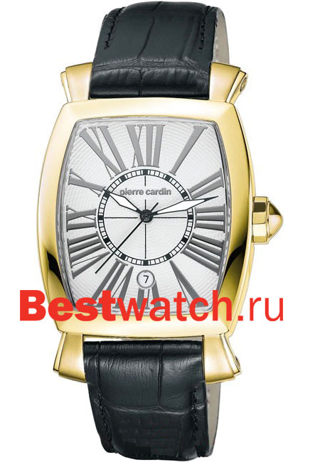 Часы Pierre Cardin Gents PC100261F02